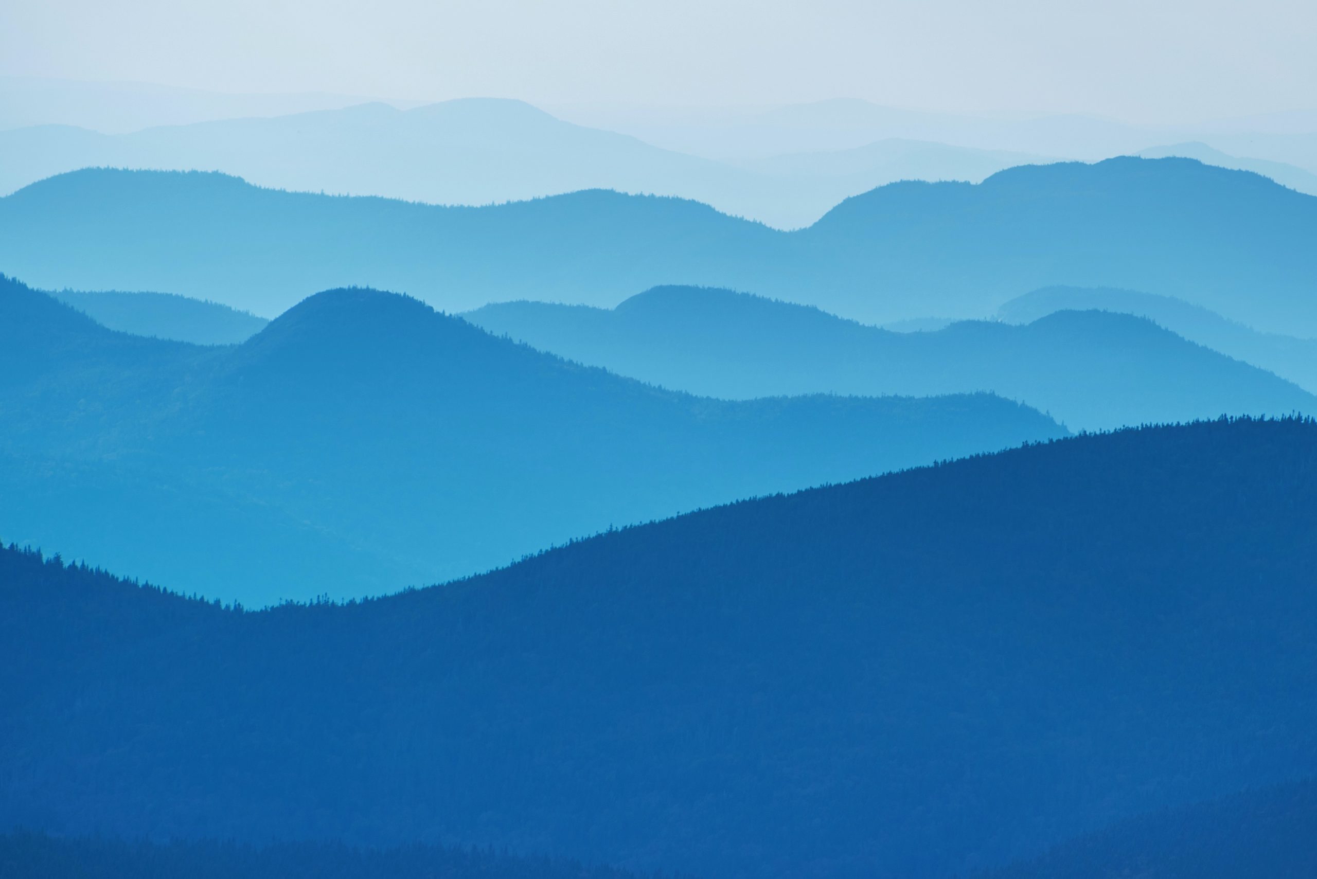 alex-shutin-kKvQJ6rK6S4-unsplash alex-shutin-kKvQJ6rK6S4-unsplash