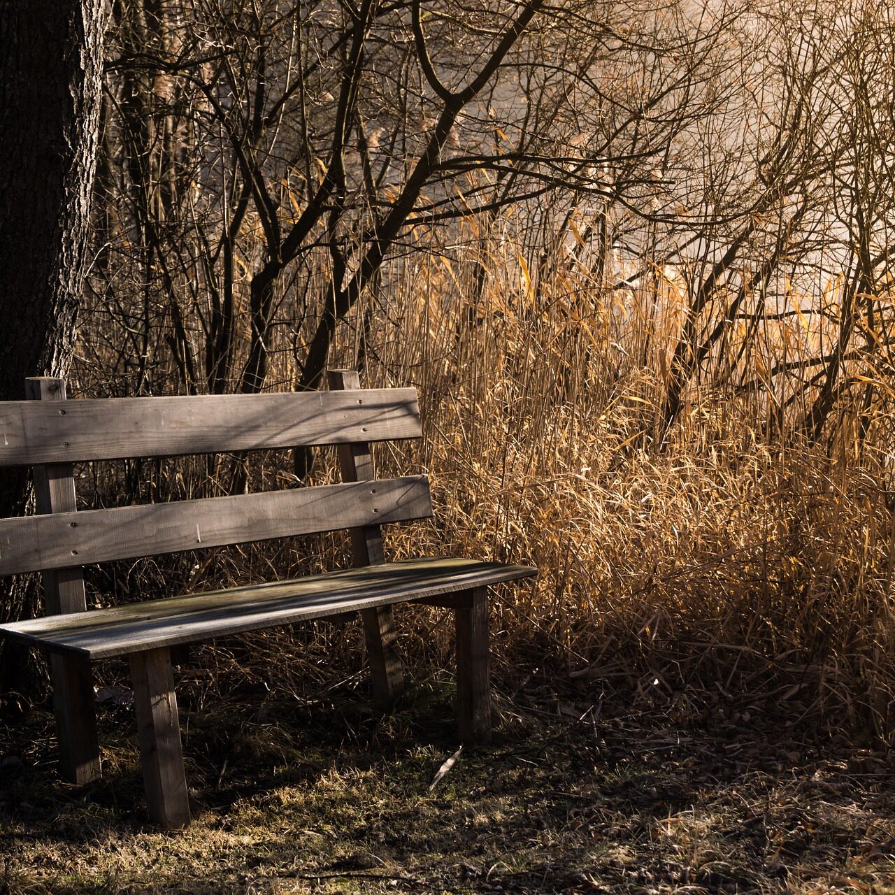 bench-1190768_1920 bench-1190768_1920